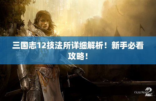 三国志12技法所详细解析！新手必看攻略！
