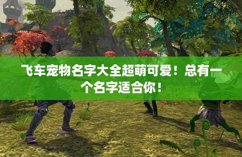 飞车宠物名字大全超萌可爱！总有一个名字适合你！