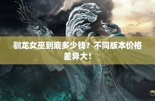 驯龙女巫到底多少钱？不同版本价格差异大！