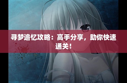 寻梦追忆攻略：高手分享，助你快速通关！