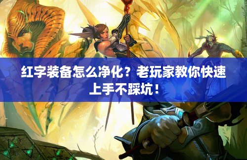 红字装备怎么净化？老玩家教你快速上手不踩坑！