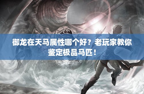 御龙在天马属性哪个好？老玩家教你鉴定极品马匹！