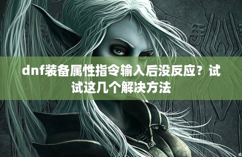 dnf装备属性指令输入后没反应？试试这几个解决方法