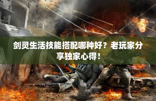 剑灵生活技能搭配哪种好？老玩家分享独家心得！