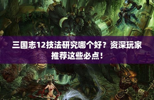 三国志12技法研究哪个好？资深玩家推荐这些必点！