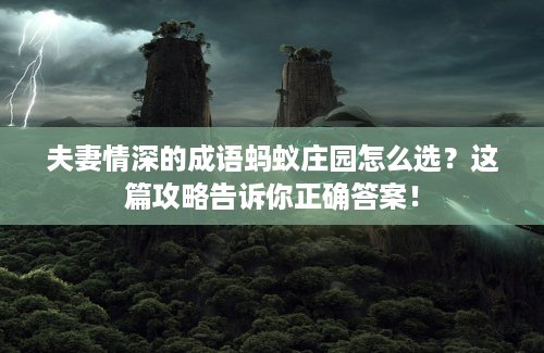 夫妻情深的成语蚂蚁庄园怎么选？这篇攻略告诉你正确答案！