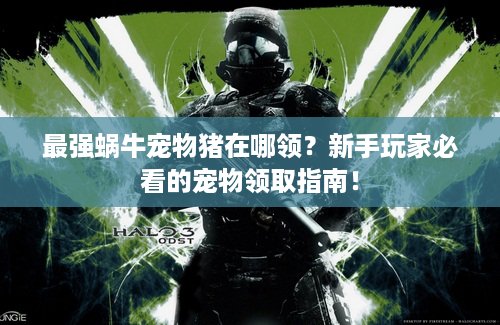 最强蜗牛宠物猪在哪领？新手玩家必看的宠物领取指南！