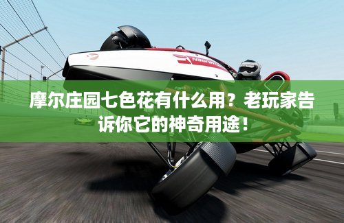 摩尔庄园七色花有什么用？老玩家告诉你它的神奇用途！