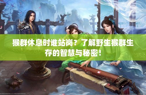 猴群休息时谁站岗？了解野生猴群生存的智慧与秘密！