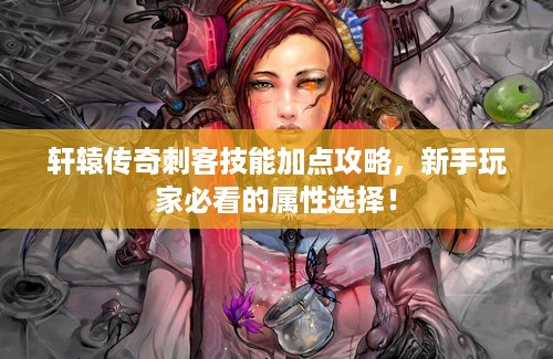 轩辕传奇刺客技能加点攻略，新手玩家必看的属性选择！