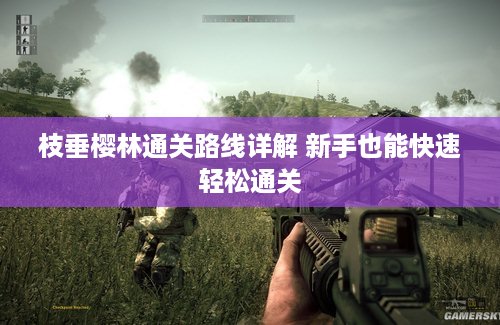 枝垂樱林通关路线详解 新手也能快速轻松通关 枝垂樱林通关路线详解 新手也能快速轻松通关
