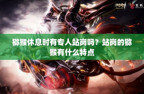 猕猴休息时有专人站岗吗?站岗的猕猴有什么特点 猕猴休息时有专人站岗吗?站岗的猕猴有什么特点