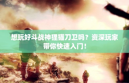 想玩好斗战神狸猫刀卫吗？资深玩家带你快速入门！