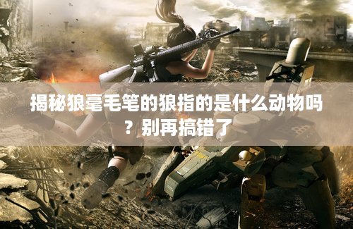 揭秘狼毫毛笔的狼指的是什么动物吗？别再搞错了