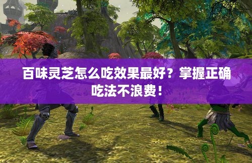 百味灵芝怎么吃效果最好？掌握正确吃法不浪费！
