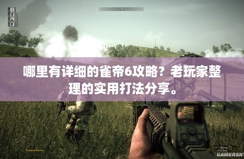 哪里有详细的雀帝6攻略？老玩家整理的实用打法分享。
