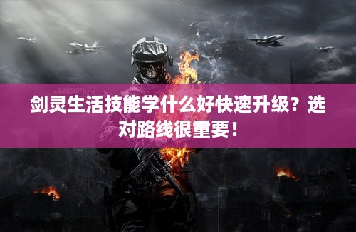 剑灵生活技能学什么好快速升级?选对路线很重要! 剑灵生活技能学什么好快速升级?选对路线很重要!