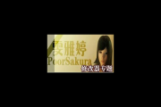 找雯雅婷5 攻略就来这，全流程通关技巧大放送！