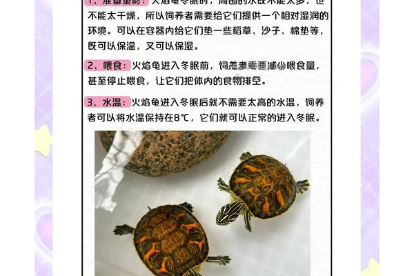 火龟怎么抓才不会跑？分享几个提高成功率的技巧！