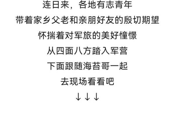 招募战友怎么提升等级？掌握核心方法快速变强！