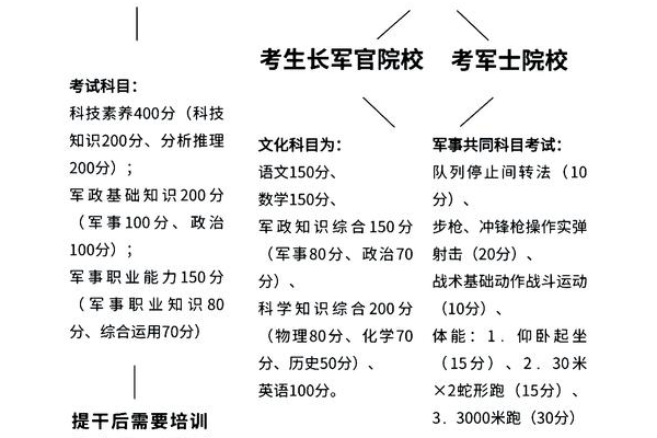 招募战友怎么提升等级？掌握核心方法快速变强！