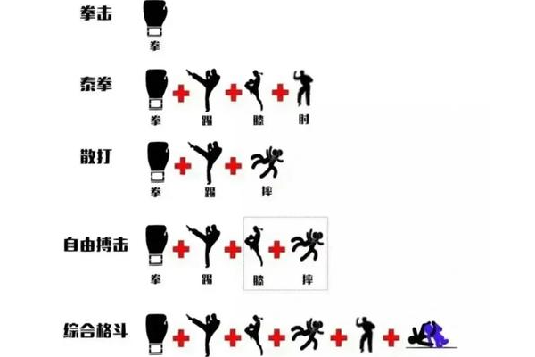 合金小子格斗怎么玩？新手快速上手技巧分享！
