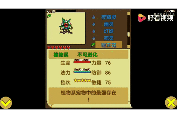 最新宠物王国5彩虹攻略分享，大神带你少走弯路！