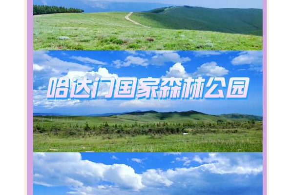 烟林牧场在哪儿呀？本地人带你轻松找到它！