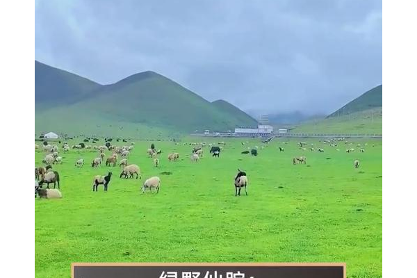 烟林牧场在哪儿呀？本地人带你轻松找到它！