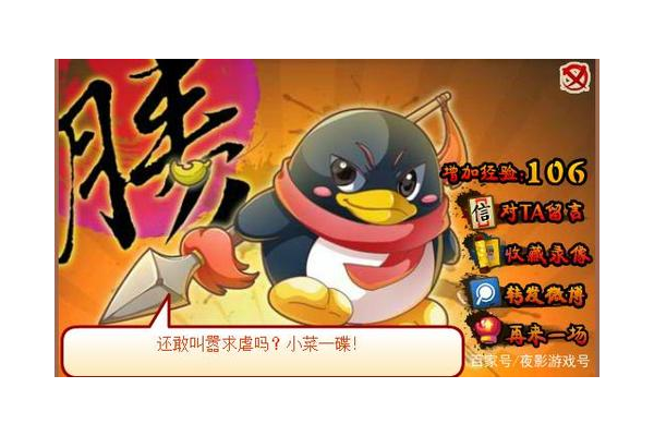 q宠结婚要注意什么？这些隐藏条件没达标就白忙