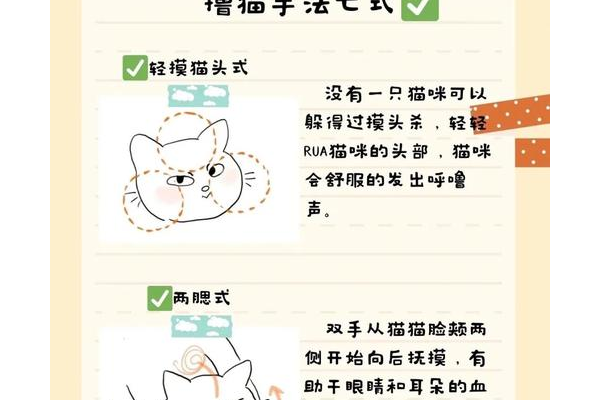 猫射手技能加点怎么选?新手必备三步速成法!