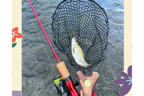 藏帆暗礁附近能钓鱼吗?老渔民分享绝佳钓点